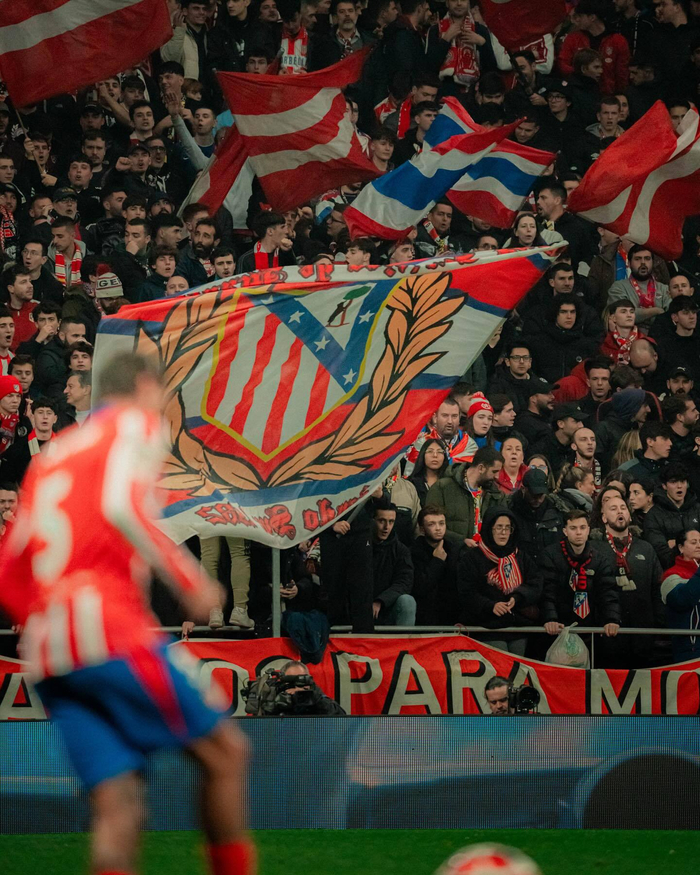 综合体育赛季阶段总结 各项目走势综合评估